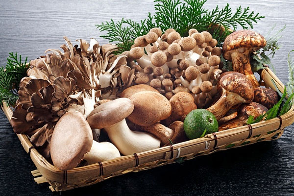 Nấm. Một bát con nấm cung cấp khoảng 50% sắt trong tổng khẩu phần ăn của bạn. Đó là điều kiện thiết yếu cho việc cung cấp oxy nuôi dưỡng máu, tăng cường năng lượng.