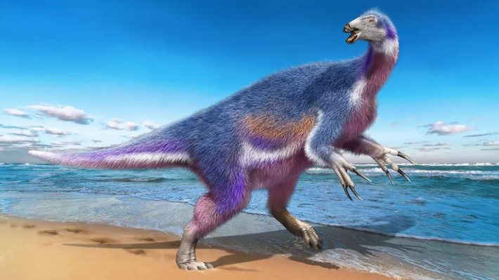 Gần đây, các nhà nghiên cứu từ Nhật Bản và Hoa Kỳ đã mô tả hóa thạch therizinosaur trẻ nhất từng được tìm thấy ở Nhật Bản; hóa thạch đó cũng là hóa thạch đầu tiên được tìm thấy ở châu Á trong trầm tích biển.