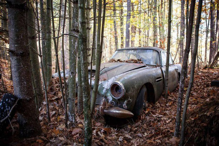 Mới đây, một chiếc Aston Martin DB4 đời 1960 vừa được phát hiện bị bỏ hoang trong rừng đến 40 năm. Đáng chú ý khi công tơ mét trên chiếc xe bị bỏ hoang này chỉ dừng ở con số 2.600 km cho thấy nó mới chỉ đi được một quãng đường rất ngắn trước đó.