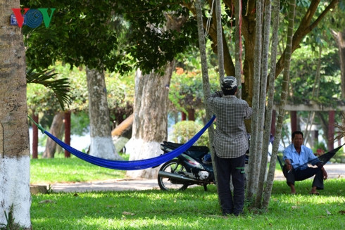 Chú Tứ đang mắc võng trong công viên, chú nói chuyện với chúng tôi là buổi trưa ở công viên này mới có thể tránh được cái nóng như thiêu đốt, gió sông cộng với cây xanh nhiều mới xua tan được cái nóng của đợt nóng đầu mùa này.
