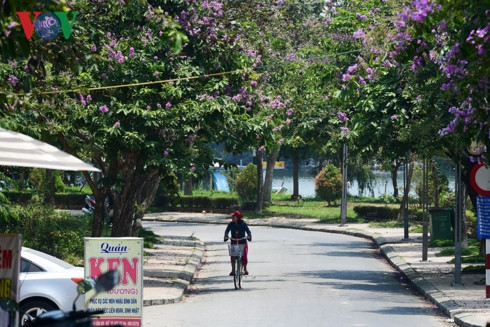 Những con đường ở Huế hầu như không có người trong giờ trưa , giờ nóng cực độ trong ngày.