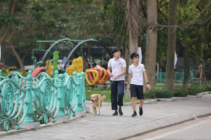 Tại nhiều nơi, người dân vẫn thản nhiên dắt đủ loại chó đi dạo mà không được thực hiện bất cứ biện pháp đảm bảo an toàn nào. (Ảnh: Minh Sơn/Vietnam+)