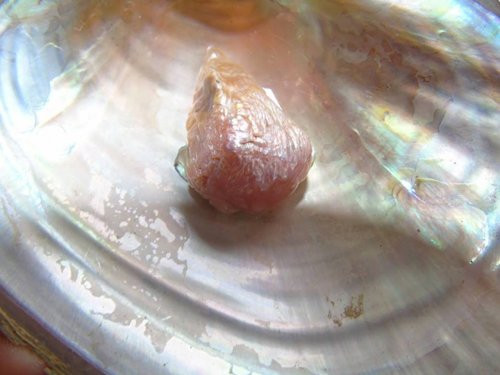Nhặt được ngọc quý hình tượng Phật. Vợ chồng anh Trần Đức Bình và chị Nguyễn Thị Cúc trở thành chủ đề bàn tán của bà con lối xóm vì đã nhặt được viên trai hình tượng Phật quý hiếm. Anh Bình kể lại, trước đó anh cùng đám bạn ra hồ Chập Chạ và mò được rất nhiều trai.