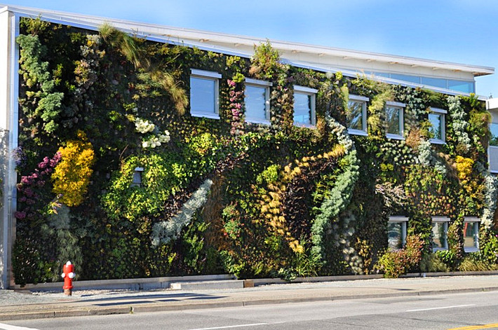 Tòa biệt thự này có diện tích gần 300m2, nằm ở ngoại ô Vancouver. Điểm đặc biệt đập vào mắt người nhìn là một mặt của nó phủ 10.000 loại cây nhỏ với hơn 120 loại thực vật khác nhau.