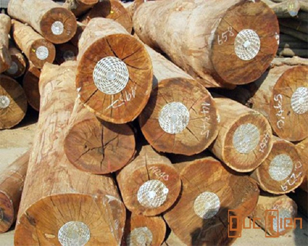 Bên cạnh đó, giá của gỗ lim các loại phụ thuộc rất nhiều vào thời gian, độ tuổi của gỗ, số vân trên gỗ thô. Đặc biệt là gỗ lim xanh là cây rất khó trồng thời gian thu hoạch gỗ rất lâu từ 30 đến 40 năm mới khai thác nên gỗ rất quý gỗ cứng, chắc, nặng, không bị mối mọt; có màu hơi nâu tới nâu thẫm; có khả năng chịu lực hoàn hảo. Ảnh minh họa.
