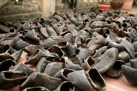Trước đây, phong trào “giết trâu lấy móng” diễn ra rầm rộ ở nhiều vùng nông thôn Việt Nam, vì lúc bấy giờ giá của bốn cái móng trâu bằng giá... cả một con trâu khi bán cho thương lái Trung Quốc. Chỉ một thời gian rất ngắn, số lượng trâu giảm mạnh, sức kéo của nông dân bị triệt phá nghiêm trọng.
