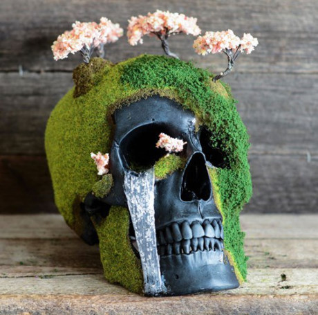 Cây bonsai có hình dáng đầu lâu. Bonsai Mountain Skulls không phải là một loài hoa tự nhiên nhưng khiến ai nhìn qua cũng phải giật mình.
