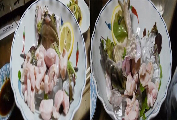 Món ếch “tươi” cũng là một trong những đặc sản của Nhật Bản, điều đặc biệt hơn trong món ăn đó là sử dụng phần đầu và da ếch để trang trí. Mặc dù, con ếch bị giết chết nhưng vẫn có những phản xạ như co giật và nhấp nháy mắt. Trông nó không khác gì một con ếch còn sống và cố gắng thoát ra khỏi cái đĩa.