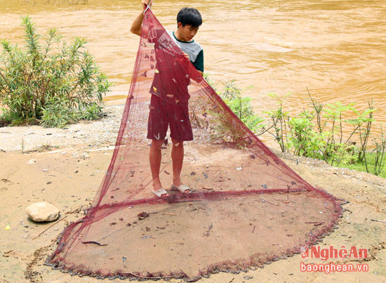 Tấm chài dùng bắt cá suối giờ lại dùng để "đánh" bướm rừng.