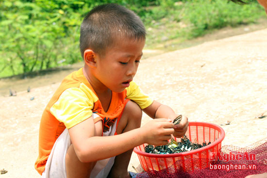 Những em bé người Thái tỏ ra hào hứng khi chơi với loài bướm đa sắc.