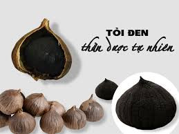 Với công dụng tuyệt vời trong việc chữa ung thư, tiểu đường, cao huyết áp, tăng sức đề kháng… tỏi đen Lý Sơn đang được người tiêu dùng săn mua rất nhiều.