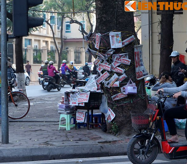 Một cảnh tượng khác trên phố Hàng Cháo. Thay vì bày báo lên bàn, gian bán hàng, người bán lại vô tư giăng dây quanh thân cây rồi xếp hàng loạt tờ báo lên đó như để khách hàng dễ nhìn thấy và dễ chọn.