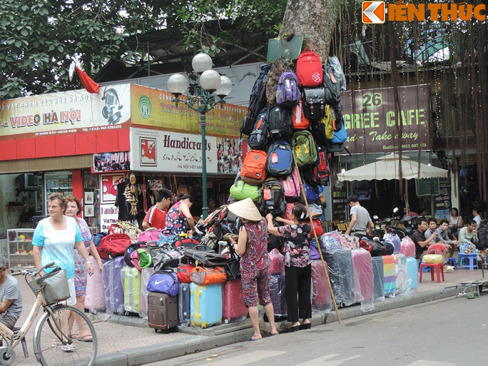 Những kiểu bán hàng bức tử cây xanh như biến cây xanh thành giá treo hàng, nơi treo biển quảng cáo, tuyển dụng... đang đầy rẫy trên đường phố Hà Nội. Đi dọc khu phố cổ, nơi có nhiều cây cổ thụ, rất dễ dàng nhìn thấy nhiều biển hiệu, hàng hóa được treo trên thân cây. Nhiều thân cây bị người dân “vô tư” đóng đinh từ trên xuống dưới để treo biển quảng cáo, biển hiệu các cửa hàng, quán cơm, phở…Những việc làm này không những ảnh hưởng đến sự sinh trưởng, phát triển của cây mà còn làm xấu cảnh quan đô thị ở Hà Nội.