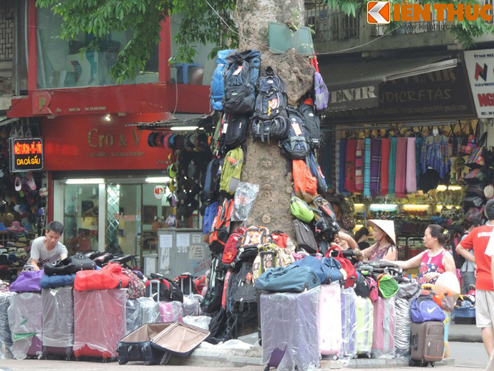 Một "cửa hàng" vali, ba lô, túi xách mặc nhiên hoạt động trên vỉa hè ở phố Lò Sũ, Hoàn Kiếm. Điều đáng nói là chủ bán hàng còn tận dụng gốc cây cổ thụ để treo hàng bán, những chiếc vali được bày la liệt trên vỉa hè... Cảnh tượng này thật mất mỹ quan đường phố.