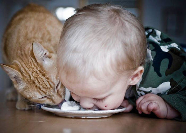 Không được tranh đồ ăn của tớ chứ!