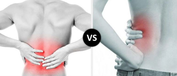 Lý giải tình trạng thận có vấn đề gây đau thắt lưng, chuyên gia cho biết thận nằm ở thắt lưng. Một số dây thần kinh ở thắt lưng thông với thận, khi thận có vấn đề sẽ gây đau thắt lưng. (Ảnh: Shutterstock)
