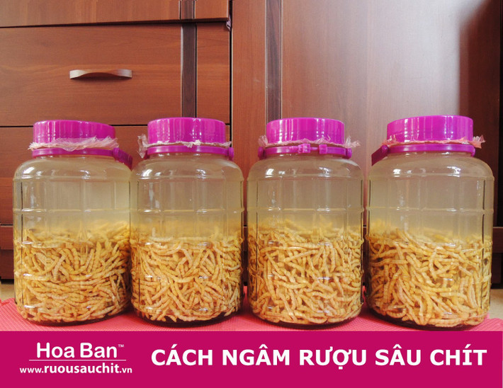 Người lớn thì uống rượu để sâu bọ bị... say, “sốc” rượu mà chết, rồi bôi phẩm vào thóp đầu, vào ngực, vào rốn... để trừ trùng. Ảnh: ytimg.com.