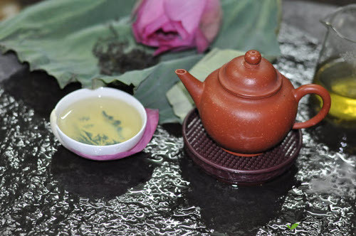 Trà sen Tây Hồ ngày càng được nhiều người ưa thích, đặc biệt là giới trẻ. Tuy nhiên, không phải lúc nào cũng có thể để đến Tây Hồ để thưởng thức trà sen. Có một cách khác để thưởng thức trà sen tại nhà là chúng ta tự ướp trà sen từ hoa sen tươi tây hồ. Ảnh: trathuanviet
