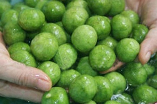 Chữa ho. Theo Đông y, quả sấu xanh có vị chua hơi chát, khi quả chín có vị chua, ngọt, tính mát, có công năng kiện vị sinh tân, tiêu thực chỉ khát, chỉ ho, tiêu đờm. Lấy 400g cùi sấu ngâm với ít muối hoặc sắc lấy nước cho chút đường đủ ngọt, uống 2 - 3 lần trong ngày. Ảnh: webdata