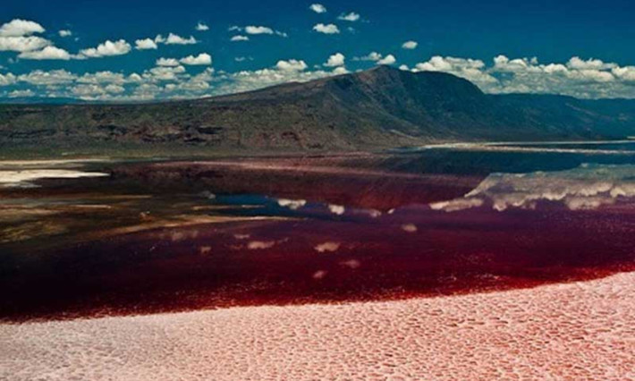 4. Hồ Natron, Tanzania: đây còn là hồ nước được mệnh danh là nơi biến bất cứ sinh vật nào không may rơi xuống sẽ “hóa đá”. (Nguồn: Dulichvietnam)