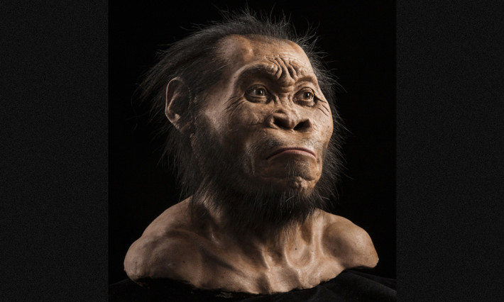 7. Homo naledi: loài người này lựa chọn ở lại vĩnh viễn miền đất Nam Phi, cái nôi của nhân loại. Những hóa thạch ít ỏi của họ có niên đại khoảng 250.000 năm. (Nguồn: National Geographic)