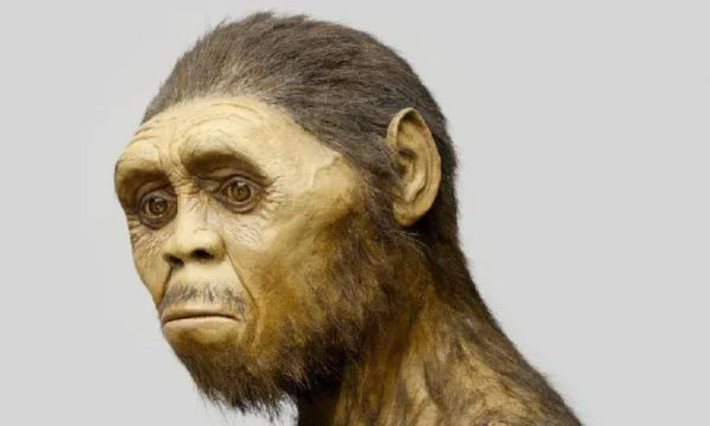 Sau 2 triệu năm trên địa cầu, nhóm Homo erectus cuối cùng đã chọn đảo Java (Indonesia) là nơi sinh sống cuối cùng, hoàn toàn biệt lập, để rồi tuyệt chủng trong một thảm họa thiên nhiên. Đây cũng là loài người đầu tiên đứng hoàn toàn thẳng trên trái đất. (Nguồn: Social News XYZ)