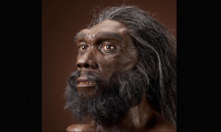 5. Homo rhodesiensis: nguồn gốc của họ chưa rõ ràng, nhưng các bằng chứng cho thấy họ cũng liên quan đến Homo heidellbergensis như chúng ta. Hóa thạch mới nhất của họ khoảng 125.000 tuổi, xuất hiện ở Zambia (Châu Phi). (Nguồn: Smithsonian Institution)