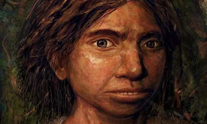 1. Người Denisovans: khoảng 600.000-744.000 năm về trước, một dòng giống mang tên Homo heidellbergensis thuộc chi Người (Homo) bắt đầu phân tách. Một nhóm nhanh chóng tiến hóa thành người Denisovans và người Neanderthals. (Nguồn: Live science)