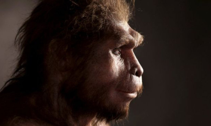 3. Homo erectus: nghiên cứu công bố tháng 12-2019 đã cho thấy họ không tuyệt chủng trước khi Homo sapiens ra đời như suy nghĩ trước đây, mà có phần lịch sử song song chúng ta suốt 200.000 năm. (Nguồn: BBC)