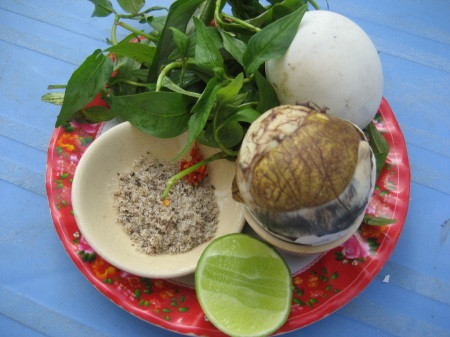 Các chuyên gia dinh dưỡng cũng khuyến cáo không nên cho trẻ dưới 5 tuổi ăn trứng vịt lộn. Ảnh: cdn.