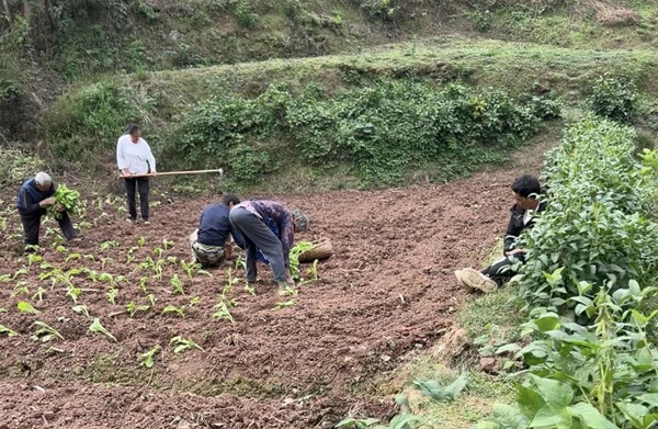 Câu chuyện của Dư Tiểu Mai đã khiến nhiều người ngạc nhiên và xúc động. Sự sống sót của cô trong 12 ngày không có thức ăn hay nước uống trong một giếng thông gió được xem là một kỳ tích. "Đây là một minh chứng cho nghị lực sống phi thường của con người", một bác sĩ tại bệnh viện nhận xét.