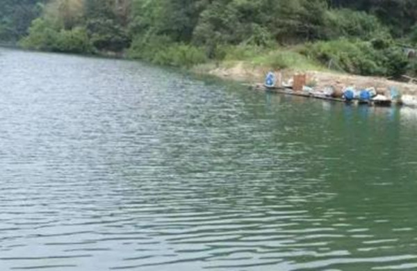 Một vụ án mạng kinh hoàng vừa được phanh phui tại tỉnh Hồ Nam, Trung Quốc. Một người đàn ông họ Lưu bị phát hiện đã sát hại chính cha ruột của mình để chiếm đoạt tiền bảo hiểm. Vụ án gây phẫn nộ trong dư luận khi hé lộ bản chất tham lam và bất hiếu của nghi phạm. (Ảnh: Sina, Chinatimes, Singtao)