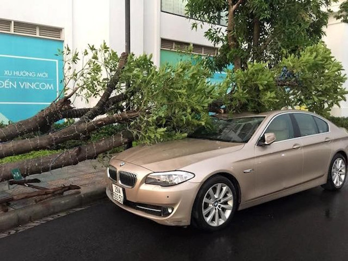 Ngay cả BMW 5 Series trị giá hàng tỷ đồng cũng bị cây đè vào trong khu Royal City.