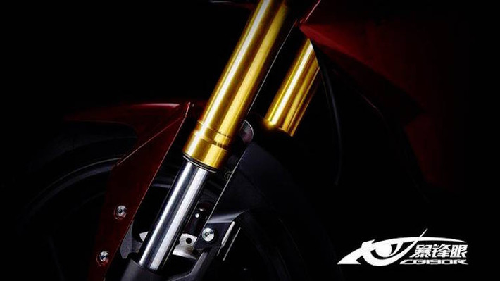 Giảm xóc trước của xe là loại up-side-down với vỏ phuộc màu vàng ấn tượng.