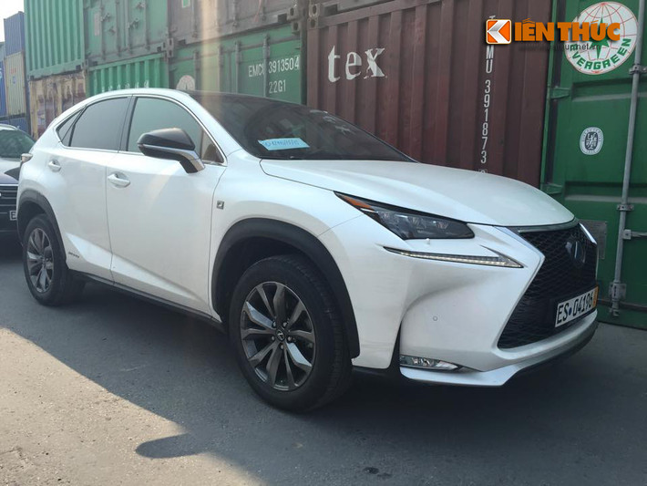 Phiên bản với gói thể thao F-Sport nổi bật hơn với lưới tản nhiệt vân mắt cáo và mâm màu xám khói.