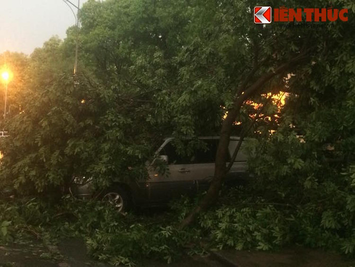 Đến cả SUV cũng không thể thoát được "mẹ thiên nhiên"!