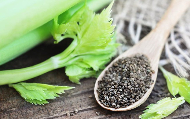 Ngoài giúp tăng hương vị cho các món súp, món hầm, thịt hầm, và các món ăn mặn khác, hạt cần tây được cho là có tác dụng làm giảm huyết áp. Ảnh: plo.