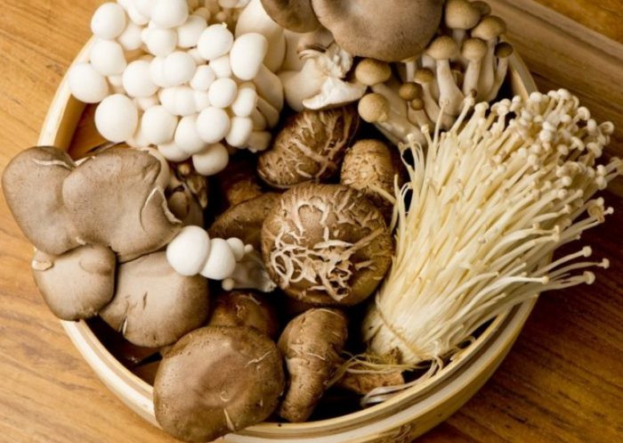 Các loại nấm giúp cải thiện hoạt động tim, đảm bảo một trái tim khỏe mạnh, từ đó ngăn ngừa và hỗ trợ điều trị hiệu quả các thể bệnh về tim mạch. Ảnh: namlimxanh.