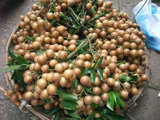 Để làm nước quất hồng bì, bạn cần chuẩn bị những nguyên liệu sau: 1kg quất hồng bì, 1kg đường phèn và 1 lọ thủy tinh. Ảnh: googleusercontent.