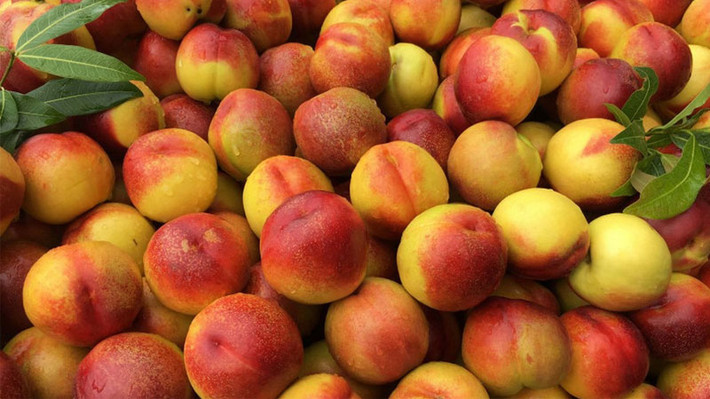 Bên cạnh lê, đào là loại trái cây thường bị ngâm acid citric công nghiệp để đào chín đỏ, lại không dễ bị hỏng. Ảnh: ihs.