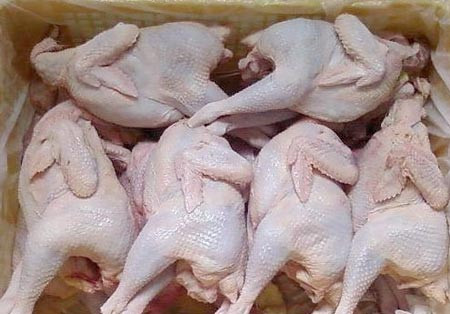 Bạn có thể dốc ngược con gà lên. Nếu thấy nó biến dạng nhiều thì đã bị bơm hóa chất, hoặc bạn có thể thể dùng dao hoặc một vật nhọn chọc thủng lớp da, sẽ thấy nước chảy ra ngoài. Ảnh: giadinh.