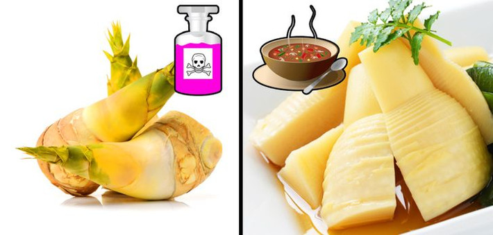 Măng tươi có chứa các glycosid cyanogenic, một chất độc cũng có mặt trong sắn.