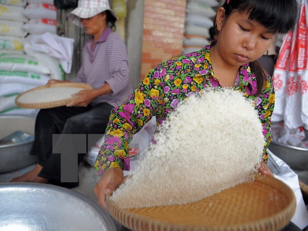 Gạo lứt và gạo huyết rồng cung cấp năng lượng nhiều hơn. Quá trình xay xát gạo trắng sẽ làm cho lớp tinh bột cơ bản bị mất đi và lớp tinh bột còn lại nhanh chóng chuyển hóa thành đường.