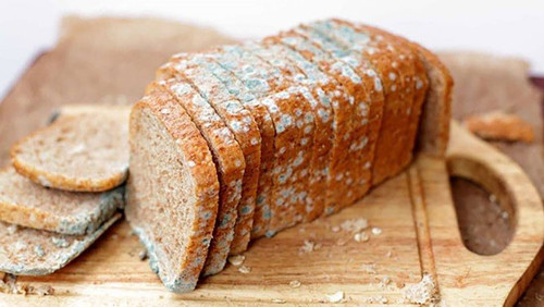 Thực phẩm “nuôi” tế bào ung thư đặc biệt dễ gặp khi trời nồm. Độ ẩm không khí cao khiến thực phẩm dễ bị nấm mốc. Đáng lưu ý, nhiệt độ nấu ăn thông thường không thể tiêu diệt được aflatoxin. Nó chỉ bị vô hiệu hóa khi nhiệt độ đạt đến 280°C. Thậm chí, aflatoxin còn có khả năng chống lại tia cực tím, sử dụng tủ khử trùng là vô hiệu.