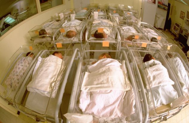 Tổ chức Y tế thế giới khuyên nên đợi ít nhất 1 phút sau khi sinh, hoặc cho đến khi không còn thấy mạch đập ở dây rốn, thì mới kẹp dây rốn. Ở Anh, cơ quan y tế khuyên đợi 1 phút mới cắt rốn, nhưng ủng hộ những phụ nữ yêu cầu kẹp dây rốn muộn trên 5 phút. Hội các bác sĩ sản phụ khoa Mỹ ủng hộ việc kẹp dây rốn muộn cho trẻ đẻ non, nhưng cho biết chưa đủ bằng chứng ủng hộ lợi ích của cách làm này ở trẻ sinh đủ tháng.