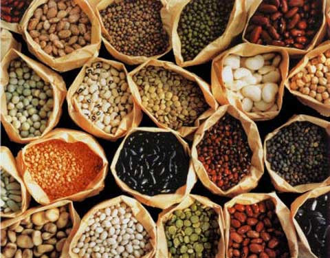 Các loại đậu. Đậu là thức ăn thực vật, giàu chất béo protein và chất xơ, có thể nhanh chóng làm tăng cảm giác no và cần một thời gian dài để tiêu hóa. Nói cách khác, ăn đậu có thể làm giảm lượng calo nạp vào, tăng lượng calo bị đốt cháy, nhưng bạn vẫn sẽ không thấy đói, quá phù hợp cho những ai muốn giảm cân.