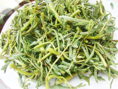 Canh rau rút cá rô rất tốt cho người mất ngủ, suy nhược thần kinh, ăn uống kém. Để chế biến món này, cần làm sạch rau (bỏ rễ và lớp phao trắng bên ngoài) rồi rửa sạch, thái nhỏ. Cá rô làm sạch lọc lấy thịt. Ướp thịt cá đã thái mỏng với gia vị cho ngấm. Ảnh: phunuonline