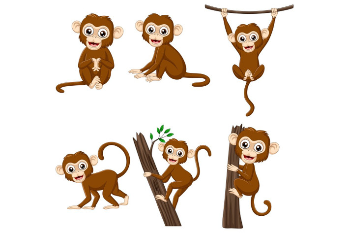 Tuổi Thân có sự chuẩn bị kỹ càng cho công việc, sẽ có được thành công xuất sắc. Việc kinh doanh bên ngoài của con giáp đã đi vào ổn định, có thể mở rộng.