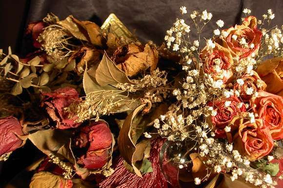 Tháng 6 âm lịch: Em bé Quý Mão sinh vào tháng 6 âm lịch sẽ có tính cách hoạt bát, từ nhỏ thông minh, nhanh nhẹn, lớn lên thì năng động, đáng yêu, sẽ được nhiều người yêu thích.