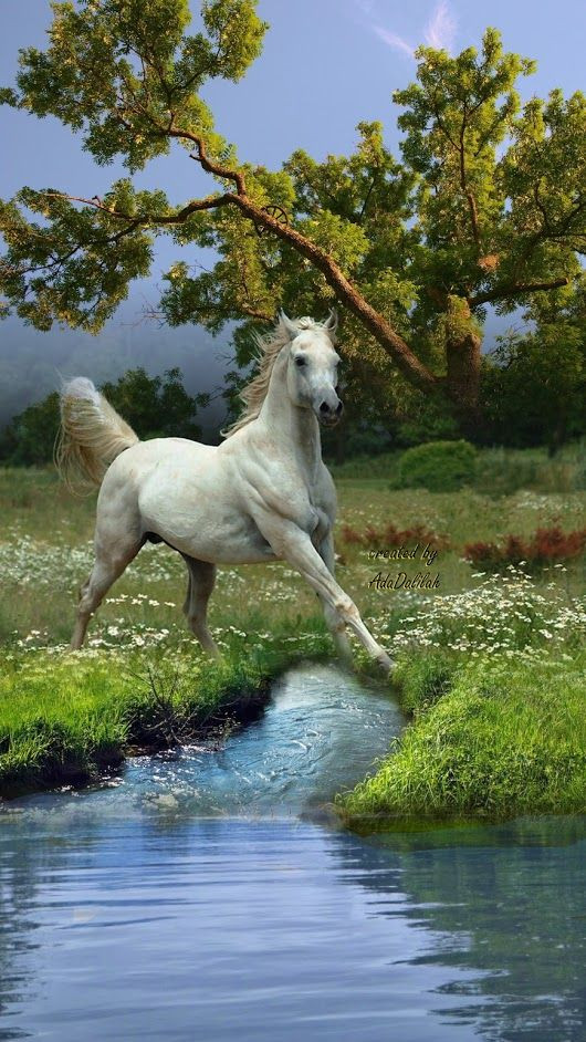 Tuổi Ngọ: Dự đoán ngày mới cho 12 con giáp bật mí chuyện tình cảm là điểm sáng duy nhất của ngày giúp bạn vững bước ở tương lai. Ở chỗ làm, bạn luôn có cảm giác bó buộc, khó chịu. May là tài vận vừa tầm nên đừng xem nặng tiền nong.
